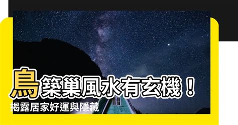 家裡有鳥築巢 風水|鳥巢風水：居家好運密碼